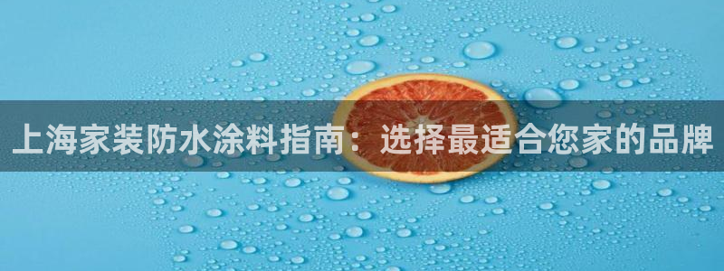 官方和记国际平台登录：上海家装防水涂料指南：选择最适合您家的品牌