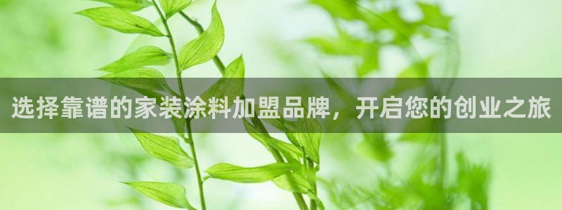 和记 中国首页：选择靠谱的家装涂料加盟品牌，开启您的创业之旅