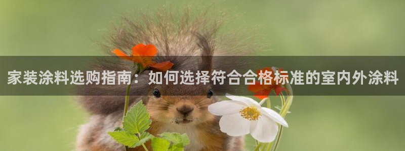 和记paging：家装涂料选购指南：如何选择符合合格标准的室内外涂料