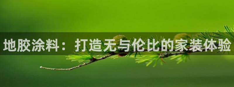 官方和记国际平台登录：地胶涂料：打造无与伦比的家装体验
