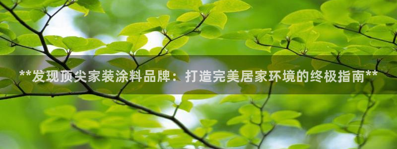 和记 首页：**发现顶尖家装涂料品牌：打造完美居家环境的终极指南**