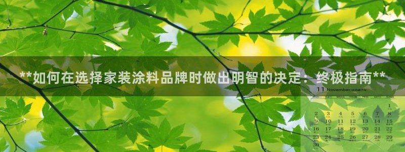 和记官网：**如何在选择家装涂料品牌时做出明智的决定：终极指南**