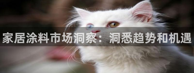 和记AG旗舰：家居涂料市场洞察：洞悉趋势和机遇