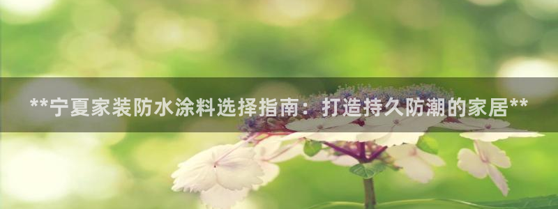 和记官网 公司：**宁夏家装防水涂料选择指南：打造持久防潮的家居**