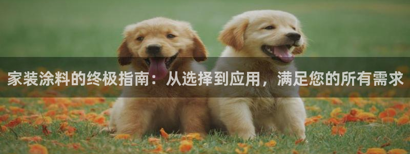和记h88游戏