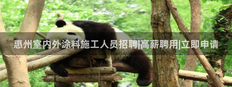 和记网页版登陆：惠州室内外涂料施工人员招聘|高薪聘用|立即申请