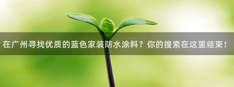和记国际电讯市值：在广州寻找优质的蓝色家装防水涂料？你的搜索在这里结束！