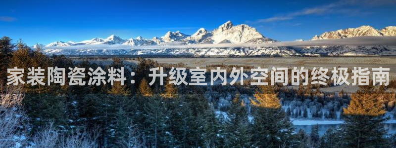 和记ag旗舰厅app：家装陶瓷涂料：升级室内外空间的终极指南