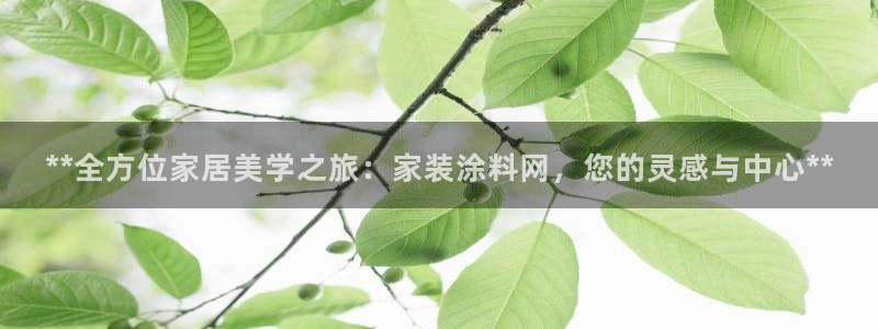 和记国际官网官网：**全方位家居美学之旅：家装涂料网，您的灵感与中心**