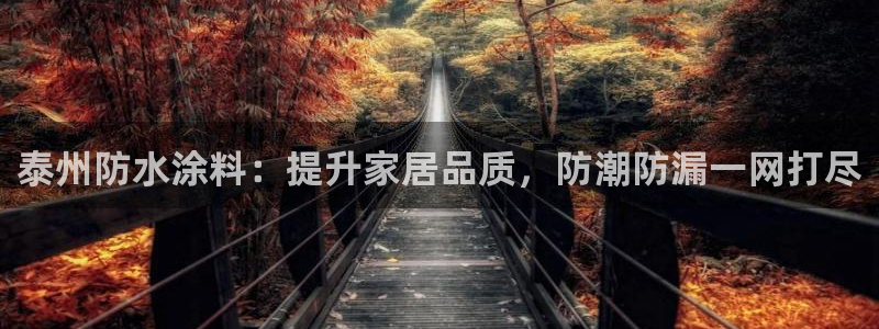 和记国际电讯市值：泰州防水涂料：提升家居品质，防潮防漏一网打尽