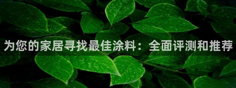 和记平台怎么样：为您的家居寻找最佳涂料：全面评测和推荐