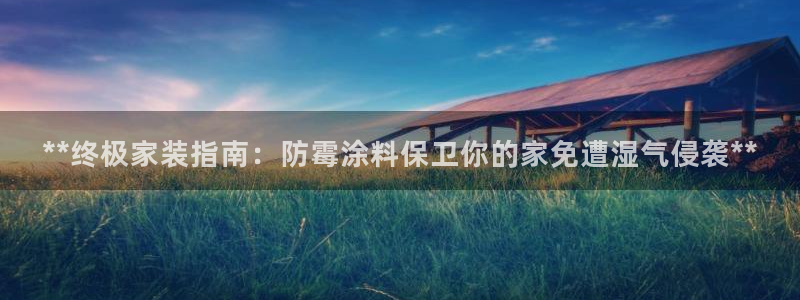 和记AG网站：**终极家装指南：防霉涂料保卫你的家免遭湿气侵袭**