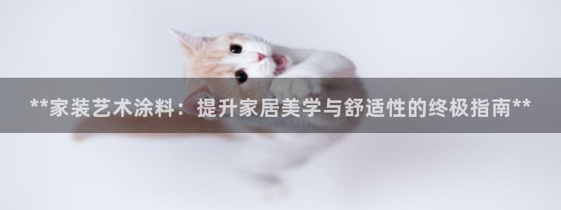 和记港口：**家装艺术涂料：提升家居美学与舒适性的终极指南**