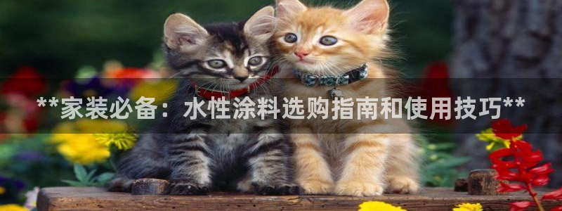 和记paging：**家装必备：水性涂料选购指南和使用技巧**
