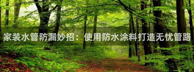 和记注册有什么送的：家装水管防漏妙招：使用防水涂料打造无忧管路