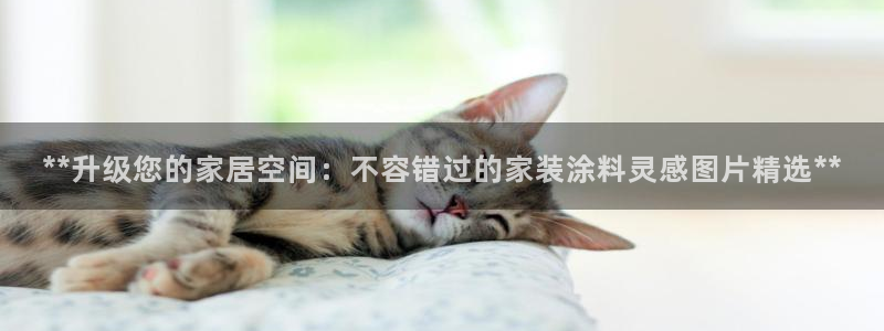 和记pc：**升级您的家居空间：不容错过的家装涂料灵感图片精选**