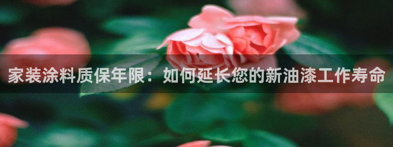 和记电业集团：家装涂料质保年限：如何延长您的新油漆工作寿命