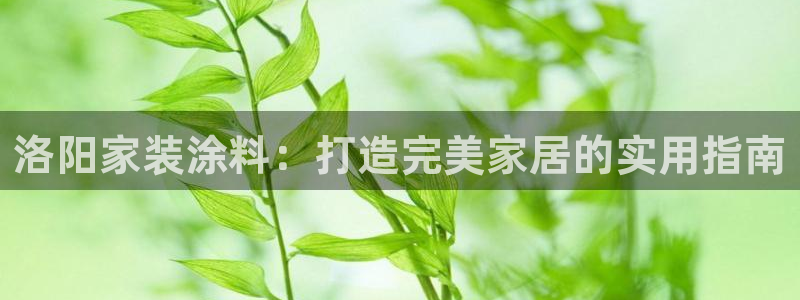 上海和记餐饮有限公司：洛阳家装涂料：打造完美家居的实用指南