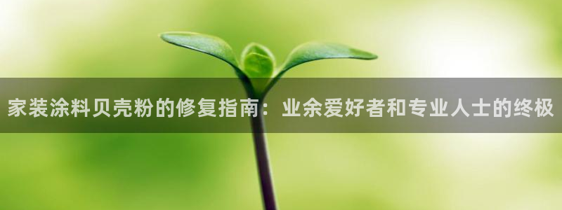 和记官方直营：家装涂料贝壳粉的修复指南：业余爱好者和专业人士的终极
