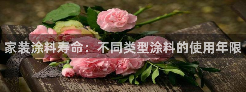 和记平台官网：家装涂料寿命：不同类型涂料的使用年限