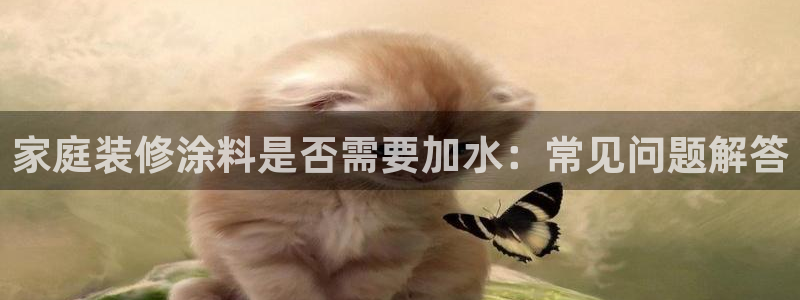 深圳和记科技有限公司：家庭装修涂料是否需要加水：常见问题解答