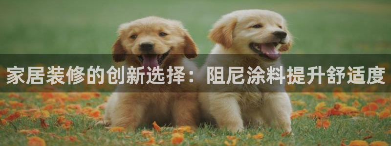 和记AG网站：家居装修的创新选择：阻尼涂料提升舒适度