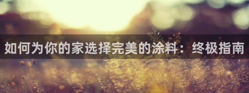 和记国际：如何为你的家选择完美的涂料：终极指南