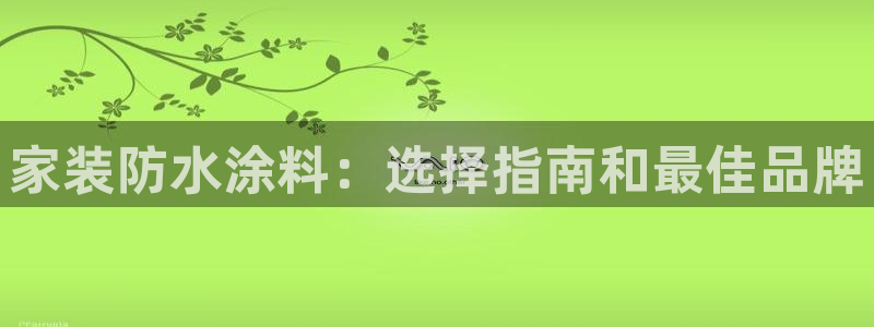 和记娱好网址：家装防水涂料：选择指南和最佳品牌