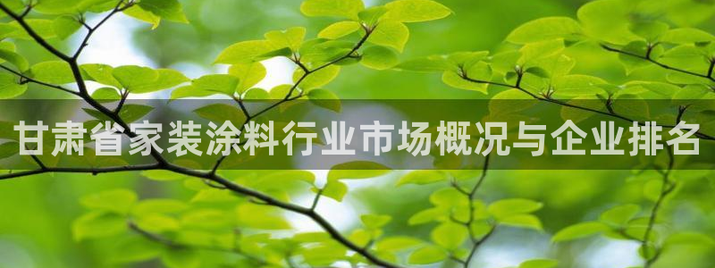 和记平台官方网：甘肃省家装涂料行业市场概况与企业排名