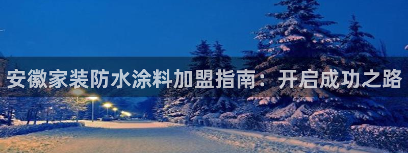 江苏和记餐饮有限公司：安徽家装防水涂料加盟指南：开启成功之路