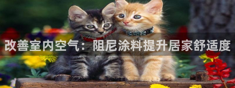 和记平台官网：改善室内空气：阻尼涂料提升居家舒适度