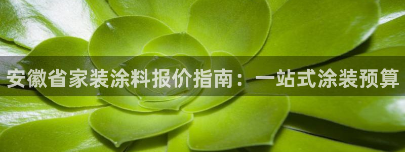 和记h188：安徽省家装涂料报价指南：一站式涂装预算