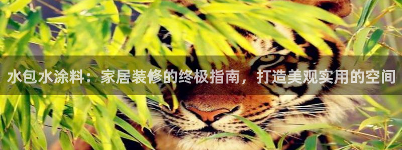 和记官网[中国]官方网站：水包水涂料：家居装修的终极指南，打造美观实用的空间