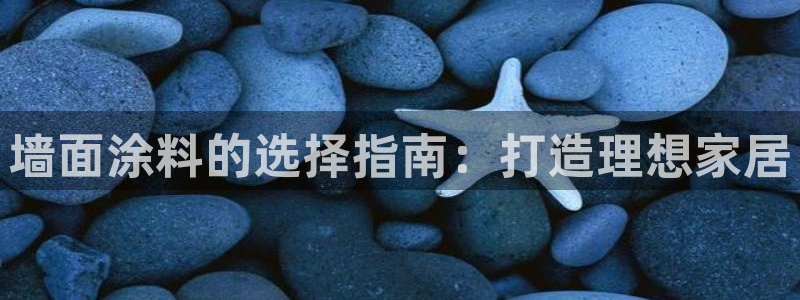 和记官网[中国]官方网站：墙面涂料的选择指南：打造理想家居