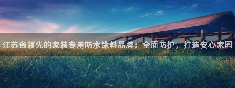 和记ag旗舰厅：江苏省领先的家装专用防水涂料品牌：全面防护，打造安心家园