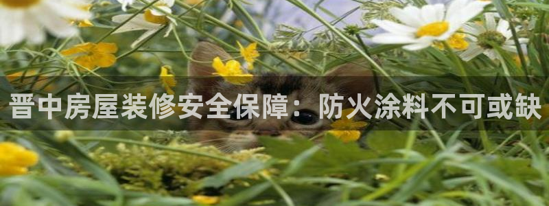 和记国际