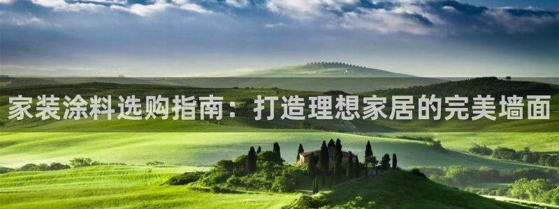 和记pc：家装涂料选购指南：打造理想家居的完美墙面