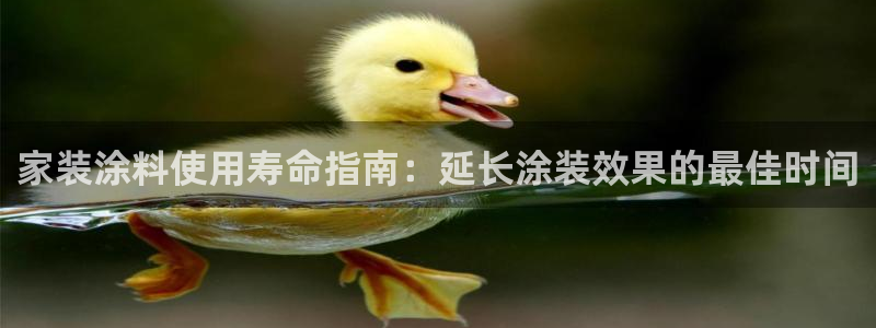 和记电业集团：家装涂料使用寿命指南：延长涂装效果的最佳时间