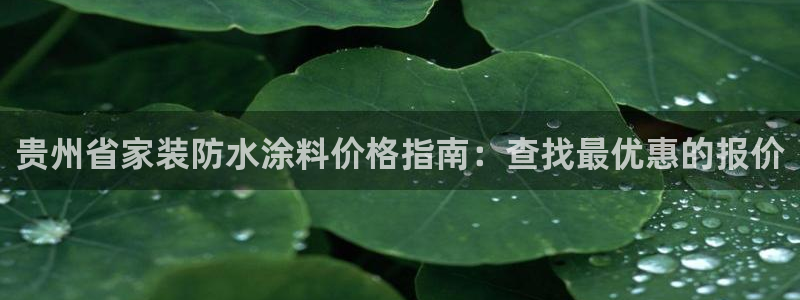 和记国际开户
