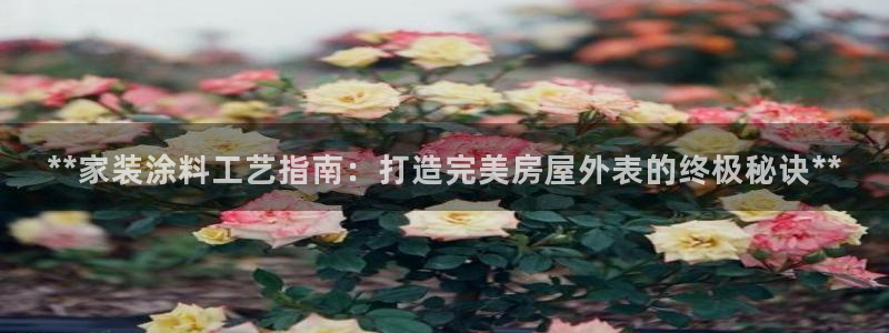 和记h8：**家装涂料工艺指南：打造完美房屋外表的终极秘诀**