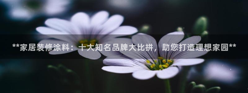 和记国际听：**家居装修涂料：十大知名品牌大比拼，助您打造理想家园**