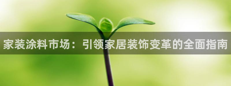 和记pc：家装涂料市场：引领家居装饰变革的全面指南