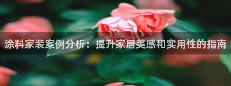 和记国际客服：涂料家装案例分析：提升家居美感和实用性的指南