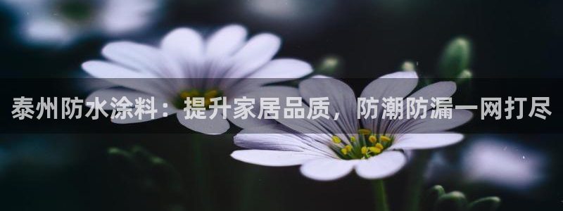 和记国际客服：泰州防水涂料：提升家居品质，防潮防漏一网打尽