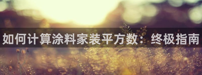 下载和记app：如何计算涂料家装平方数：终极指南