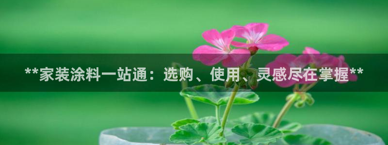 和记官方：**家装涂料一站通：选购、使用、灵感尽在掌握**