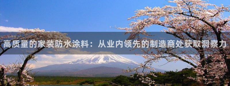 和记app官网登录：高质量的家装防水涂料：从业内领先的制造商处获取洞察力