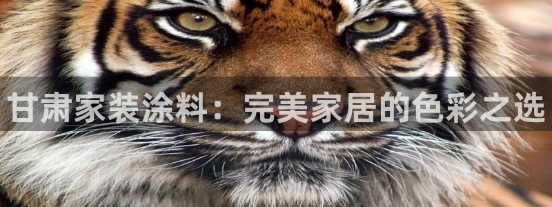 和记官网 公司：甘肃家装涂料：完美家居的色彩之选