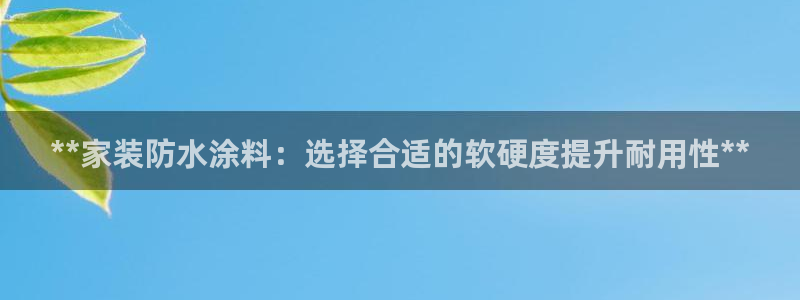 和记官网官方网站：**家装防水涂料：选择合适的软硬度提升耐用性**