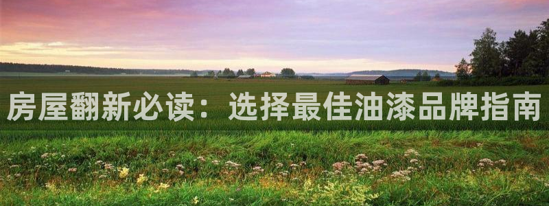 和记app官网登录：房屋翻新必读：选择最佳油漆品牌指南